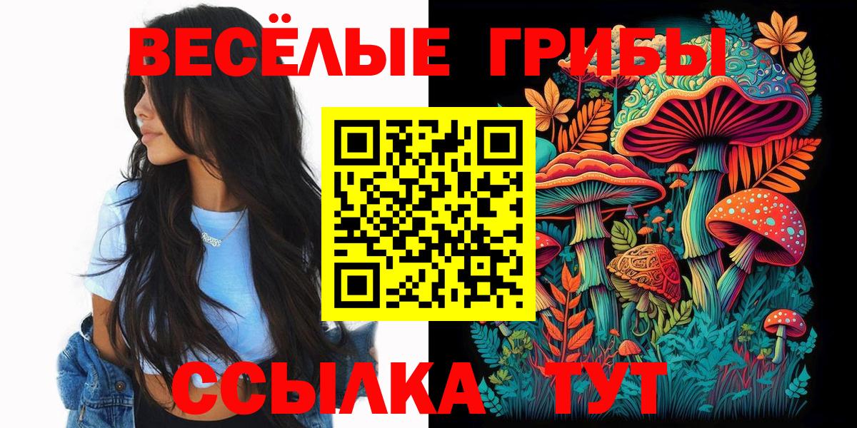 Галлюциногенные грибы Cubensis Новоалтайск