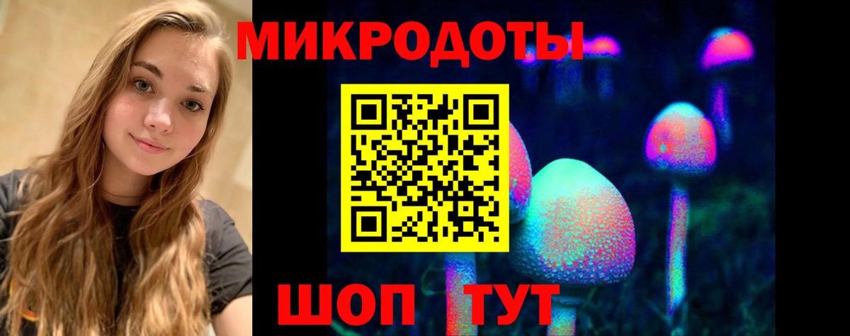 Новоалтайск  Псилоцибиновые грибы мухоморы  закладка  Псилоцибиновые грибы Psilocybe  Вход с VPN 